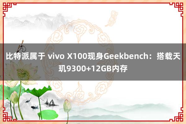 比特派属于 vivo X100现身Geekbench：搭载天玑9300+12GB内存