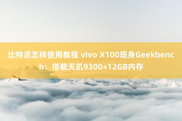 比特派怎样使用教程 vivo X100现身Geekbench：搭载天玑9300+12GB内存