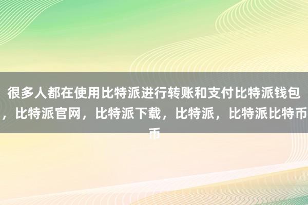 很多人都在使用比特派进行转账和支付比特派钱包，比特派官网，比特派下载，比特派，比特派比特币