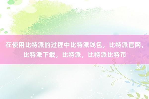 在使用比特派的过程中比特派钱包，比特派官网，比特派下载，比特派，比特派比特币