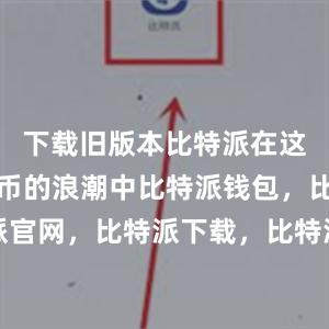 下载旧版本比特派在这个数字货币的浪潮中比特派钱包，比特派官网，比特派下载，比特派，比特派比特币