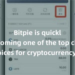 Bitpie is quickly becoming one of the top choices for cryptocurrency enthusiasts worldwide.比特派钱包，比特派官网，比特派下载，比特派，比特派比特币