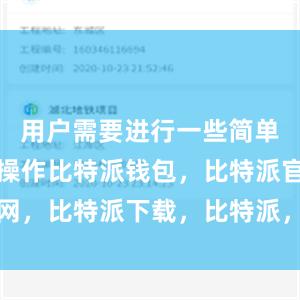 用户需要进行一些简单的设置和操作比特派钱包，比特派官网，比特派下载，比特派，比特派比特币