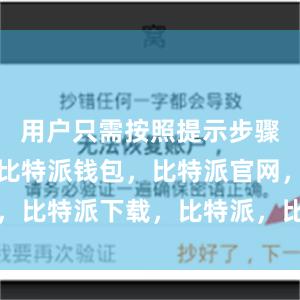 用户只需按照提示步骤进行设置比特派钱包，比特派官网，比特派下载，比特派，比特派比特币